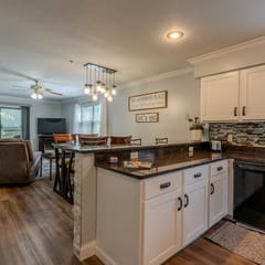 Pet Friendly ~ Resort Amenities ~ Near the 76 Strip ~ FREE TICKETS INCLUDED! (PR50-4)
